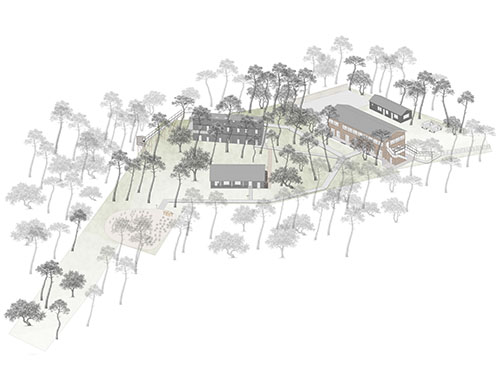 Layout1